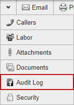 View the Audit Log