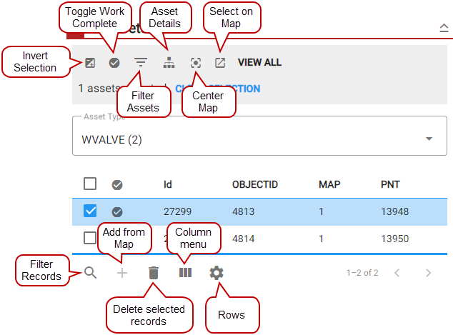 Assets Panel Fields
