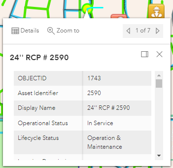 View Asset Details