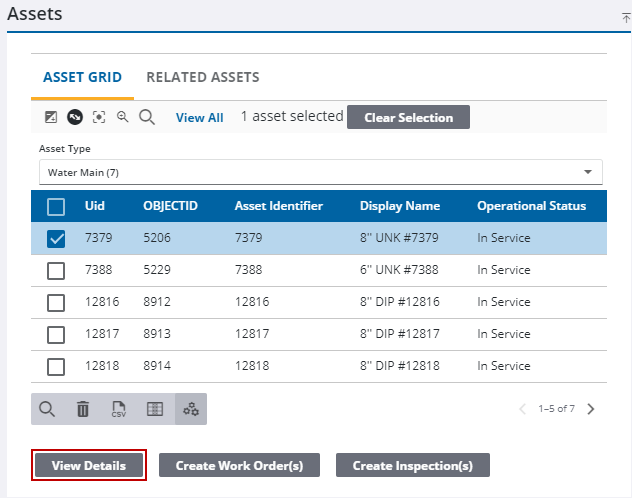 View Asset Details